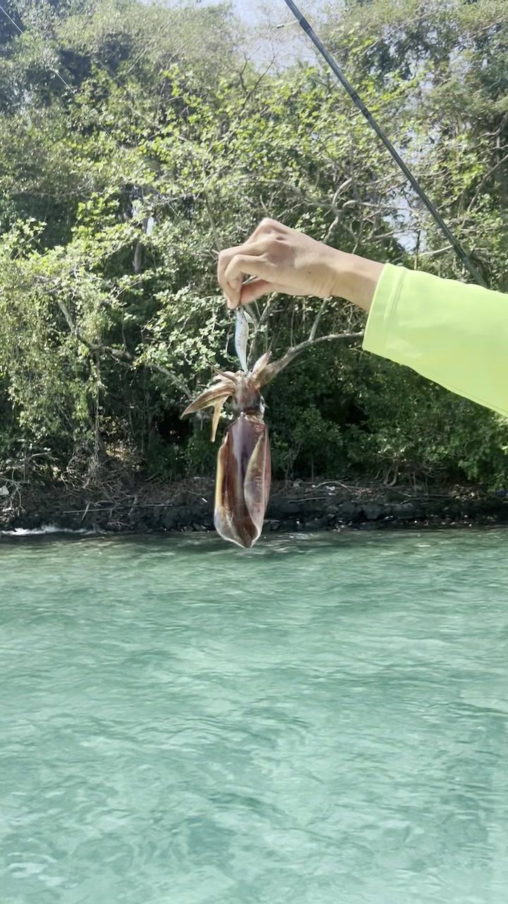 A hand holding up a freshly caught squid over clear turquoise water, a fishing rod above.